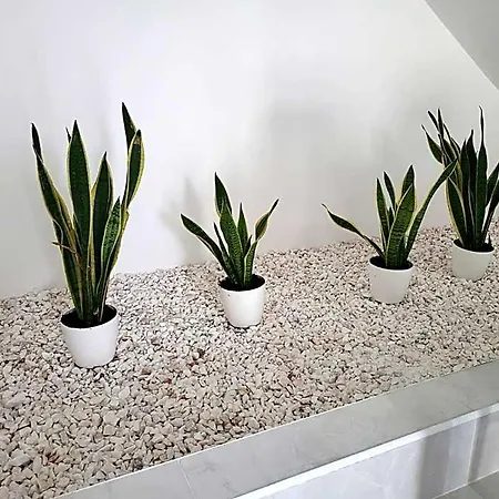 Hotel Hostelccportimao